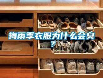 行業(yè)新聞梅雨季衣服為什么會(huì)臭？