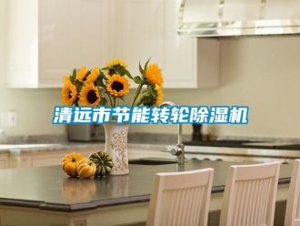 常見問題清遠市節能轉輪除濕機