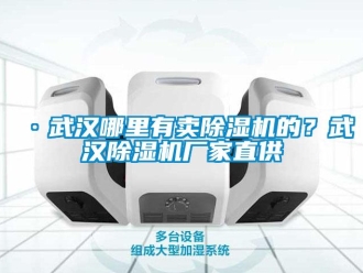 企業(yè)新聞·武漢哪里有賣除濕機(jī)的？武漢除濕機(jī)廠家直供