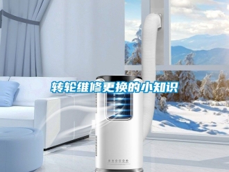 常見問題轉(zhuǎn)輪維修更換的小知識(shí)