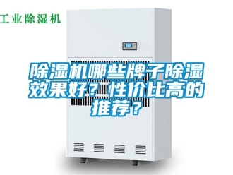 行業新聞除濕機哪些牌子除濕效果好？性價比高的推薦？
