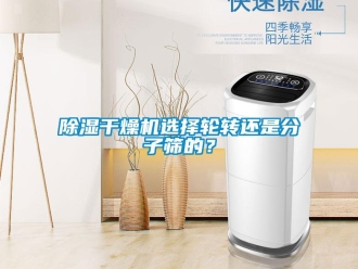 常見問題除濕干燥機選擇輪轉(zhuǎn)還是分子篩的？