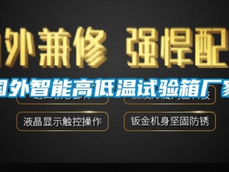 常見問題國外智能高低溫試驗箱廠家