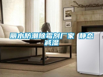 常見問題麗水防潮除霉劑廠家 靜態(tài)減濕