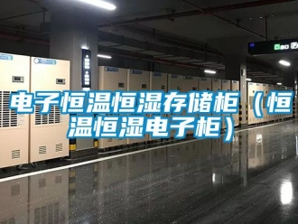 知識百科電子恒溫恒濕存儲柜（恒溫恒濕電子柜）