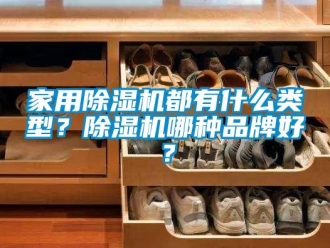 企業(yè)新聞家用除濕機都有什么類型？除濕機哪種品牌好？