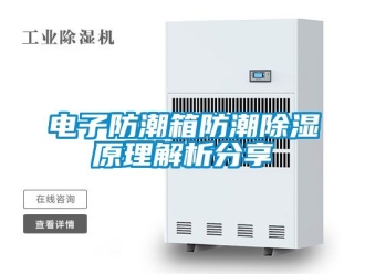 常見問題電子防潮箱防潮除濕原理解析分享