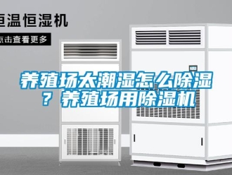 常見問題養殖場太潮濕怎么除濕？養殖場用除濕機