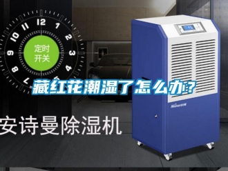 企業(yè)新聞藏紅花潮濕了怎么辦？