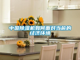 常見問題中國除濕機如何面對當前的經濟環境