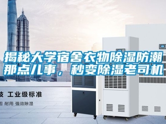 常見問題揭秘大學(xué)宿舍衣物除濕防潮那點(diǎn)兒事，秒變除濕老司機(jī)
