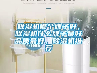 行業(yè)新聞除濕機哪個牌子好，除濕機什么牌子最好品質(zhì)最好，除濕機推薦