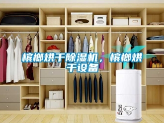 企業新聞檳榔烘干除濕機，檳榔烘干設備