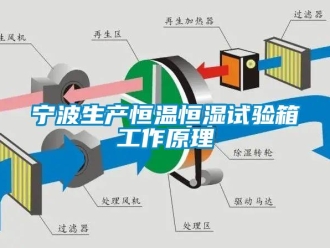 知識百科寧波生產恒溫恒濕試驗箱工作原理