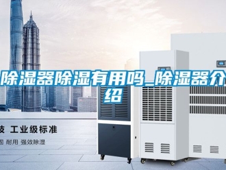 行業新聞除濕器除濕有用嗎_除濕器介紹