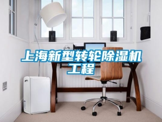 常見問題上海新型轉(zhuǎn)輪除濕機(jī)工程