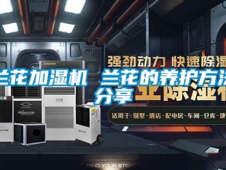 行業新聞蘭花加濕機 蘭花的養護方法分享