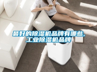 常見問題最好的除濕機品牌有哪些,工業除濕機品牌