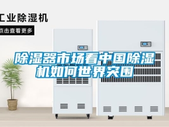 常見(jiàn)問(wèn)題除濕器市場(chǎng)看中國(guó)除濕機(jī)如何世界突圍