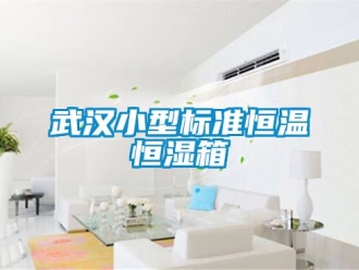 知識百科武漢小型標準恒溫恒濕箱
