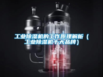 常見問題工業(yè)除濕機(jī)的工作原理解析（工業(yè)除濕機(jī)十大品牌）