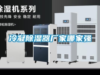 行業新聞冷凝除濕器廠家哪家強