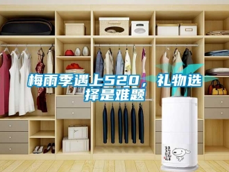 行業新聞梅雨季遇上520，禮物選擇是難題