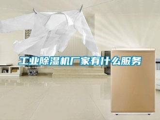 企業新聞工業除濕機廠家有什么服務