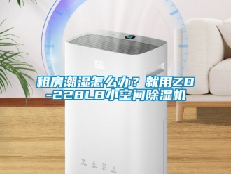 行業新聞租房潮濕怎么辦？就用ZD-228LB小空間除濕機