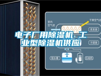 常見問(wèn)題電子廠用除濕機(jī) 工業(yè)型除濕機(jī)供應(yīng)