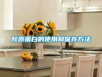 行業(yè)新聞膠原蛋白的使用和保存方法