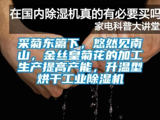 企業新聞采菊東籬下，悠然見南山，金絲皇菊花的加工生產提高產能，升溫型烘干工業除濕機