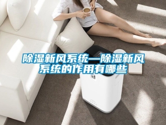行業新聞除濕新風系統—除濕新風系統的作用有哪些