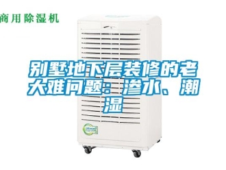 企業(yè)新聞別墅地下層裝修的老大難問(wèn)題：滲水、潮濕