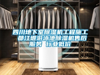 行業新聞四川地下室除濕機工程施工 都江堰游泳池除濕機售后服務 行業低價