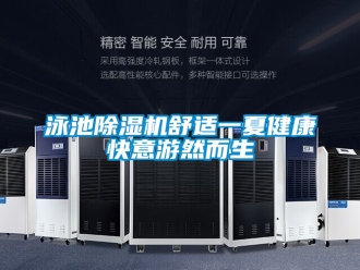行業新聞泳池除濕機舒適一夏健康快意游然而生