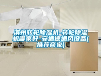 常見問題濱州轉(zhuǎn)輪除濕機(jī)-轉(zhuǎn)輪除濕機(jī)哪家好-安適德通風(fēng)設(shè)備(推薦商家)