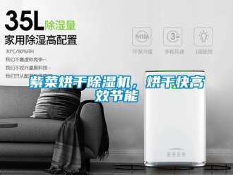 行業新聞紫菜烘干除濕機，烘干快高效節能