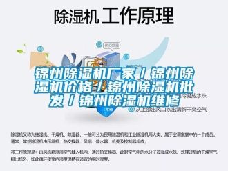 企業(yè)新聞錦州除濕機(jī)廠家／錦州除濕機(jī)價(jià)格／錦州除濕機(jī)批發(fā)／錦州除濕機(jī)維修