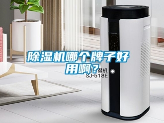 行業(yè)新聞除濕機(jī)哪個(gè)牌子好 用啊？