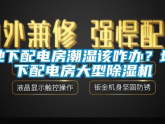 行業(yè)新聞地下配電房潮濕該咋辦？地下配電房大型除濕機