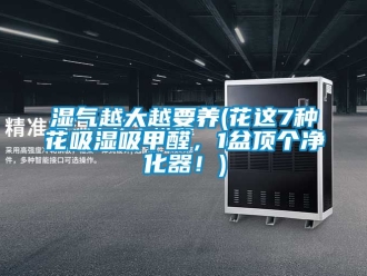 企業(yè)新聞濕氣越大越要養(yǎng)(花這7種花吸濕吸甲醛，1盆頂個(gè)凈化器！)