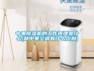 行業新聞中央除濕機的工作原理是什么(和中央空調有什么區別)