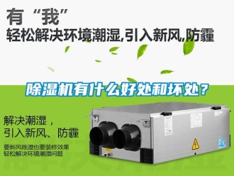 行業(yè)新聞除濕機有什么好處和壞處？