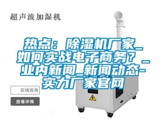 常見問題熱點：除濕機廠家_如何實戰(zhàn)電子商務？_業(yè)內(nèi)新聞_新聞動態(tài)-實力廠家官網(wǎng)