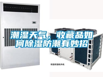 常見(jiàn)問(wèn)題潮濕天氣，收藏品如何除濕防潮有妙招