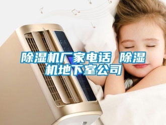 企業新聞除濕機廠家電話 除濕機地下室公司