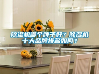 企業新聞除濕機哪個牌子好？除濕機十大品牌排名如何？