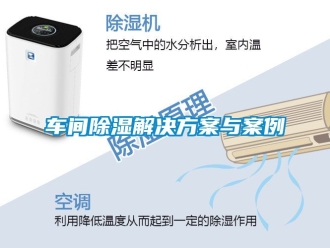 企業新聞車間除濕解決方案與案例