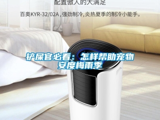 常見(jiàn)問(wèn)題鏟屎官必看：怎樣幫助寵物安度梅雨季